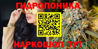 шишки Балаково