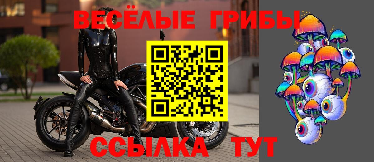 Галлюциногенные грибы прущие грибы  Вход с VPN  Галлюциногенные грибы мицелий  Владимир 