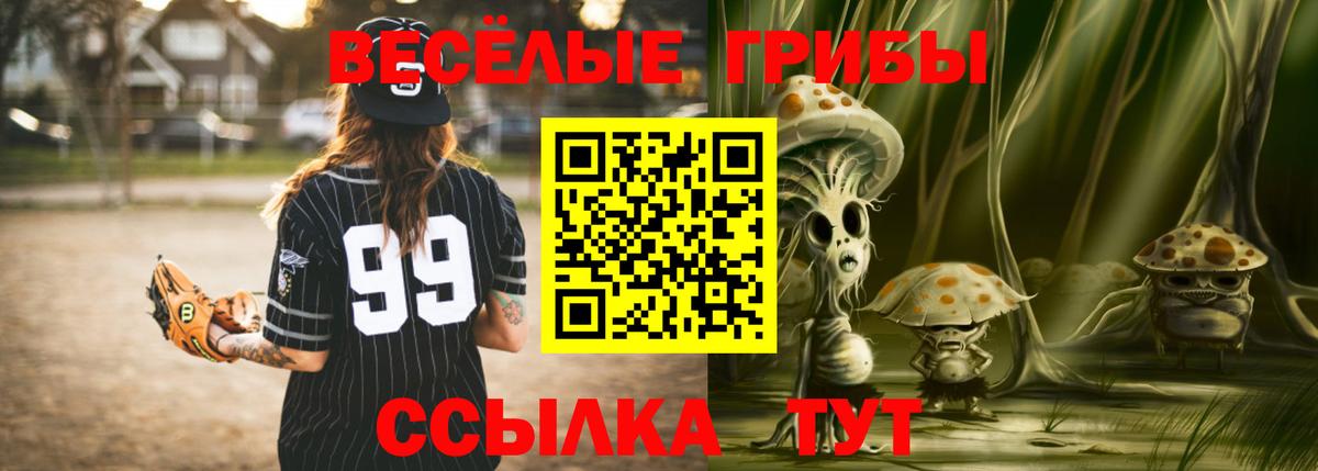 Галлюциногенные грибы GOLDEN TEACHER Владимир